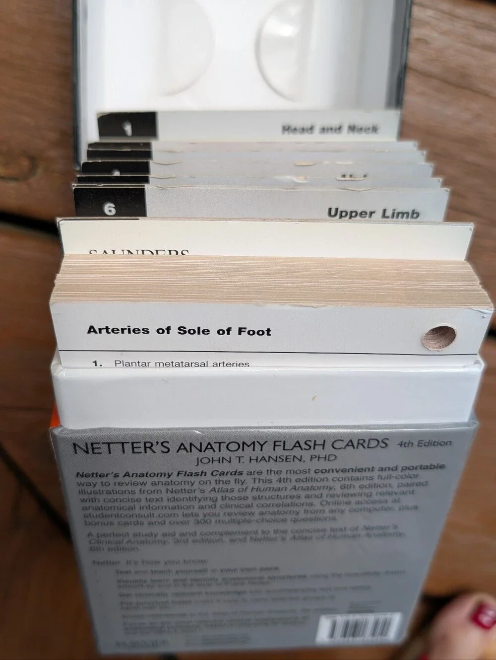 Anatomy Flash Cards (Black) by John T. Hansen - 4th Edition